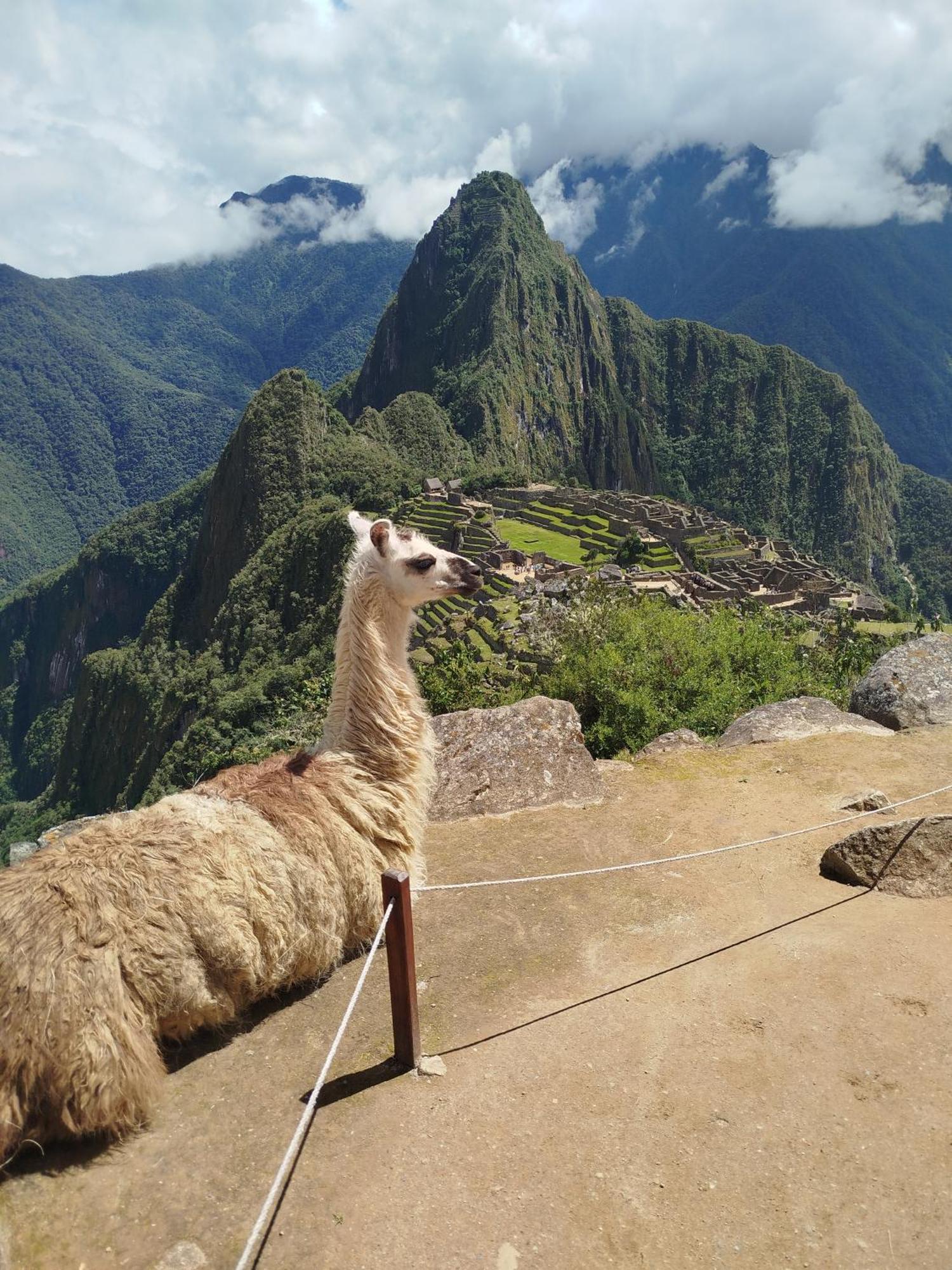 ホテル Picos House Machupicchu エクステリア 写真